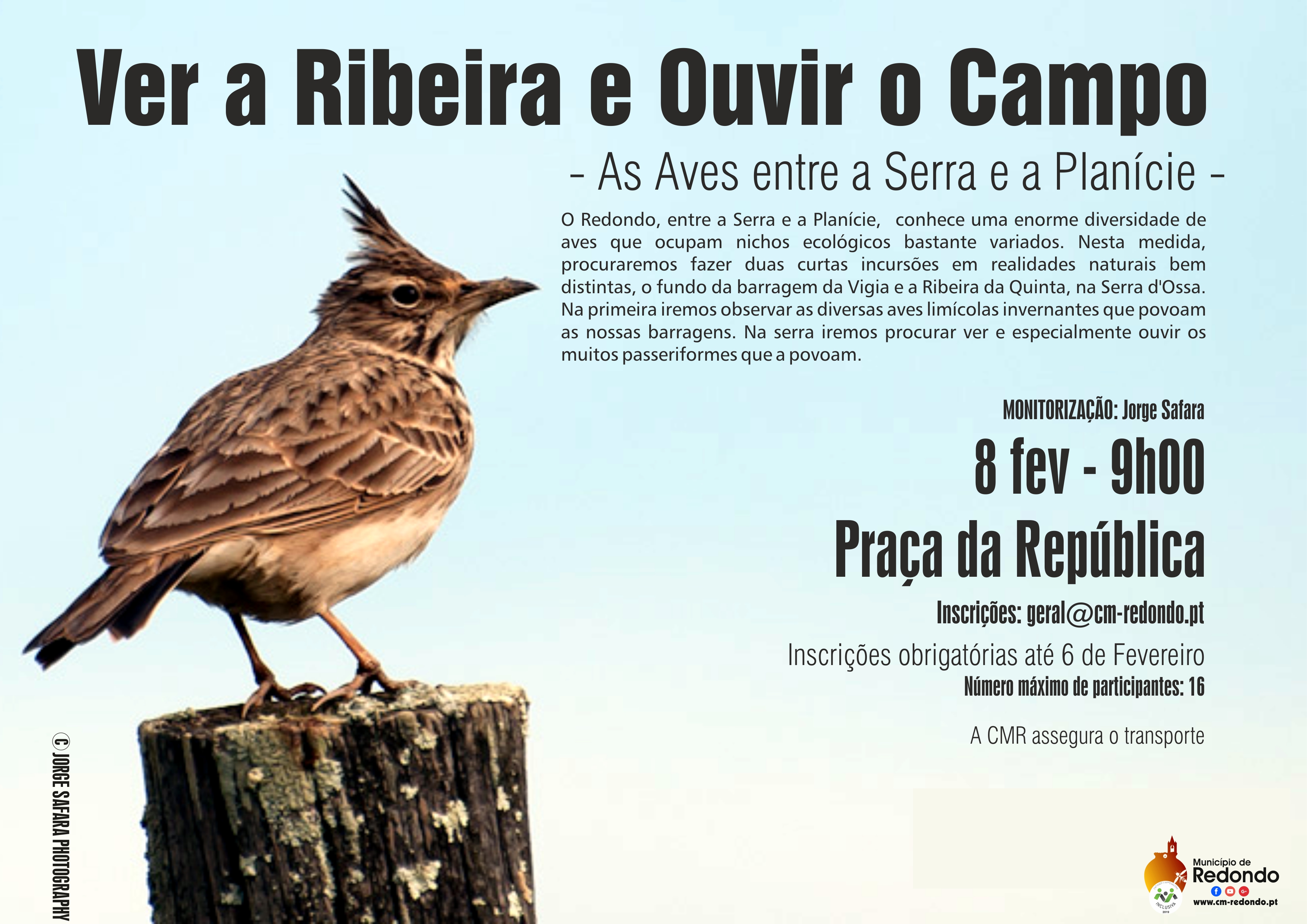 VeraRibeiraeOuviroCampo_F_0_1594717819.