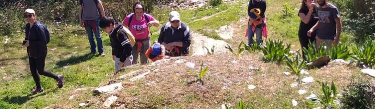 WhatsApp Image 2019-03-25 at 11.03.05(2)