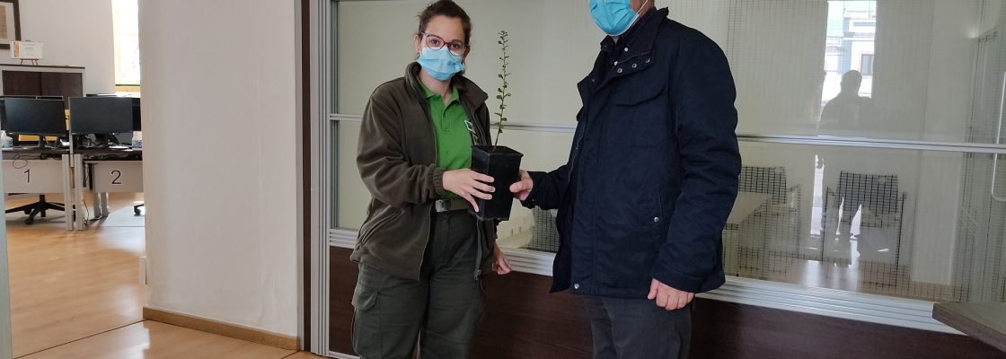 ICNF OFERECE SOBREIRO À CÂMARA MUNICIPAL DE REDONDO