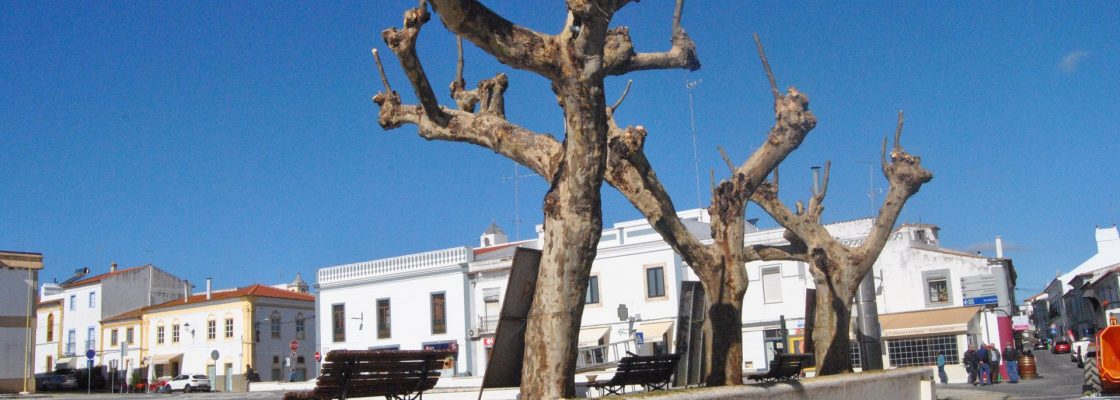 Câmara Municipal de Redondo reforça limpeza na Praça da República