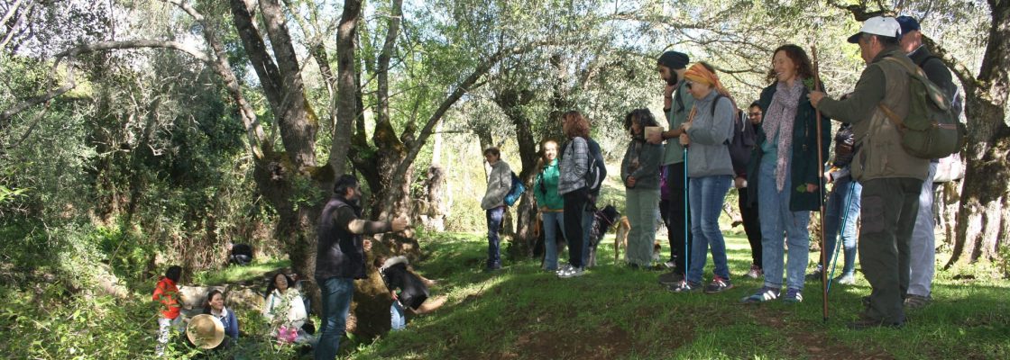 Serra D´Ossa foi cenário do Passeio Pedestre “Verdes são os Campos”