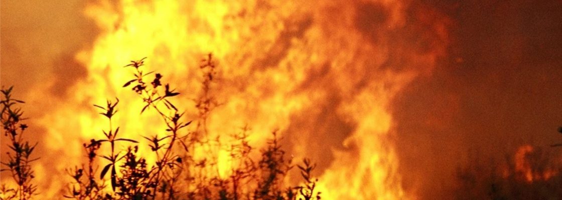 Declaração da Situação de Alerta – Risco de Incêndio Rural