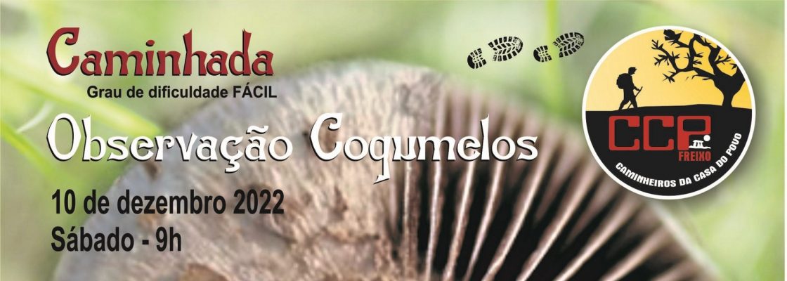Caminhada – Observação Cogumelos | 10 de dezembro | 09h00 | Casa do Povo de Freixo