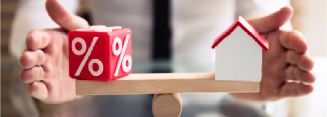 Informação da Direção-Geral do Consumidor