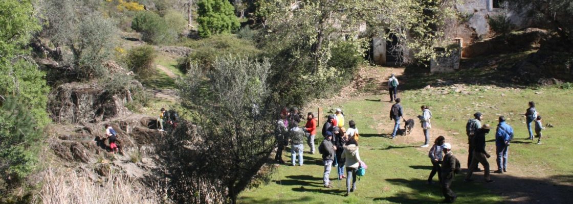 Passeio “Verdes são os campos” | 26 de março | 09h30 | Largo da Paragem do Autocarr...