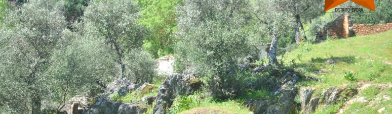 Bom dia 29 de outubro 2023