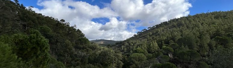 Bom dia 1 de novembro serra