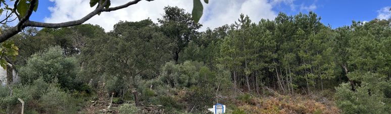 Bom dia 2 de novembro Serra