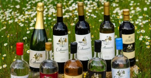 Calhameiro – Jorge Falé, Unipessoal, Lda.