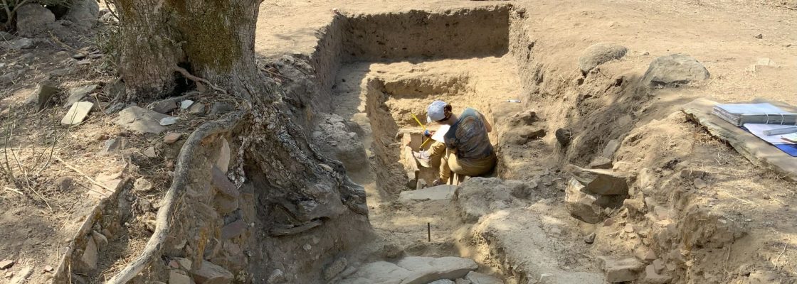 Dia Internacional da Arqueologia: Dia aberto na escavação arqueológica Nossa Senhora do Freixo...