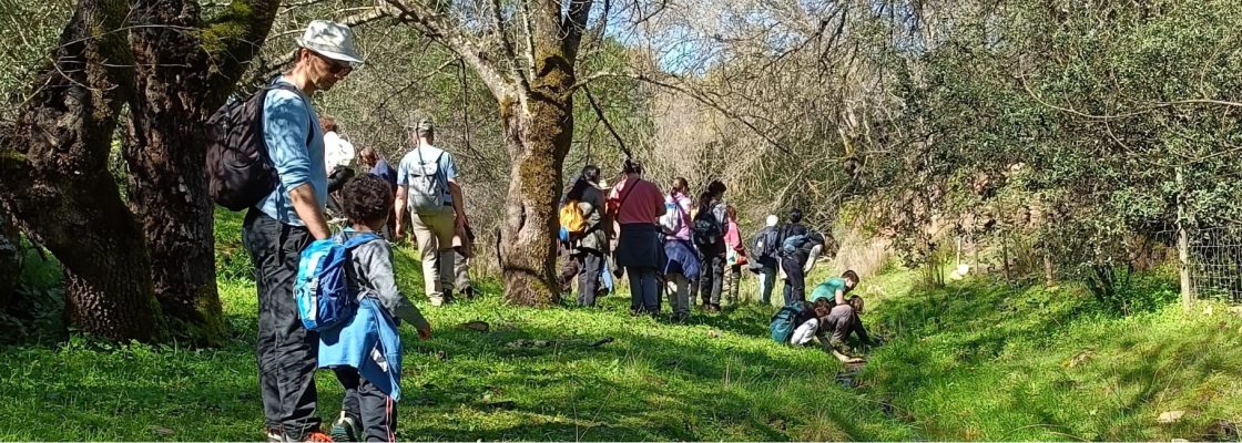 Poejo dos Eremitas: Passeio, showcooking e degustação | dia 22 de fevereiro | 09h30 | Aldeia da...